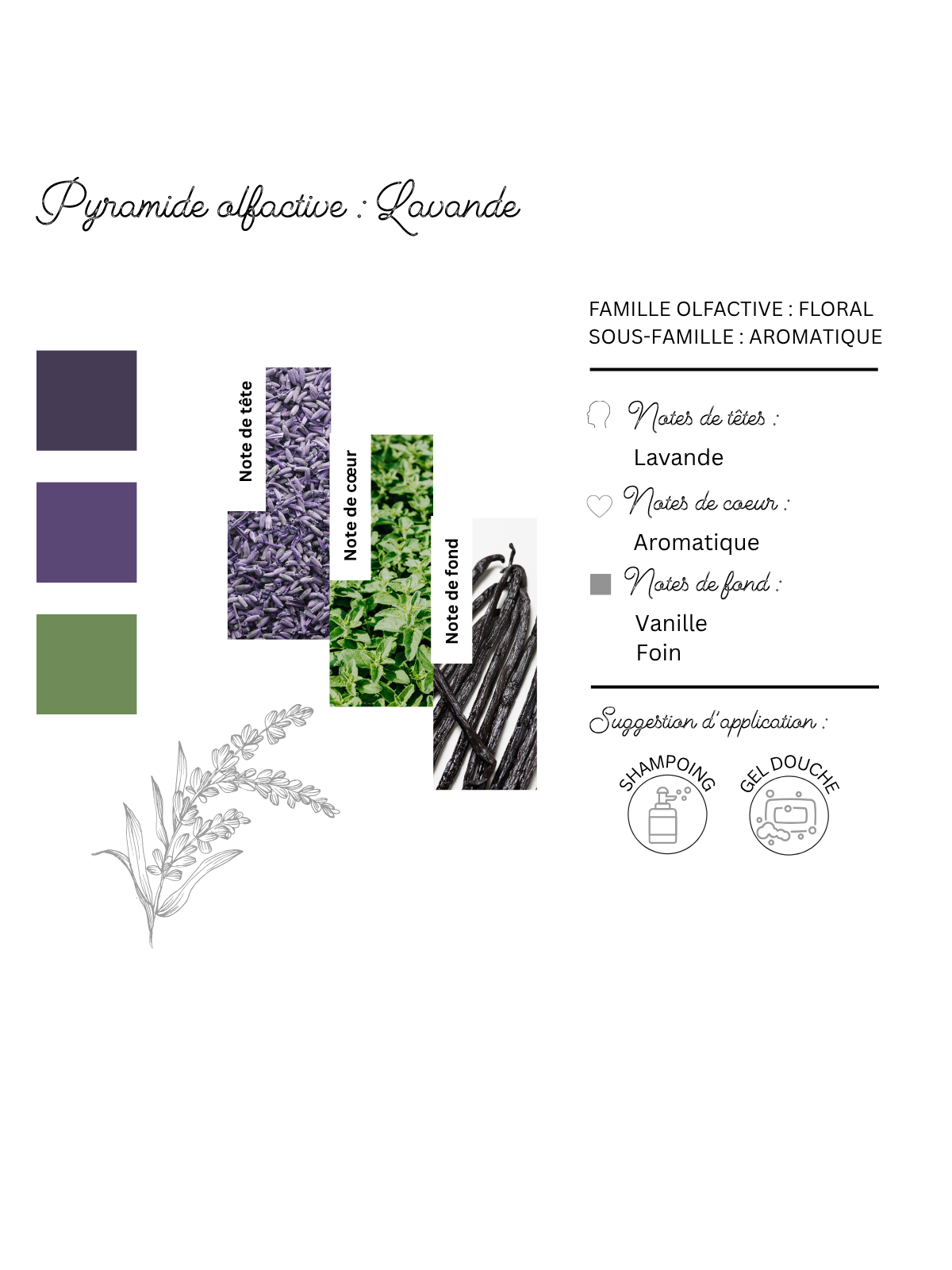 gel-douche-lavande